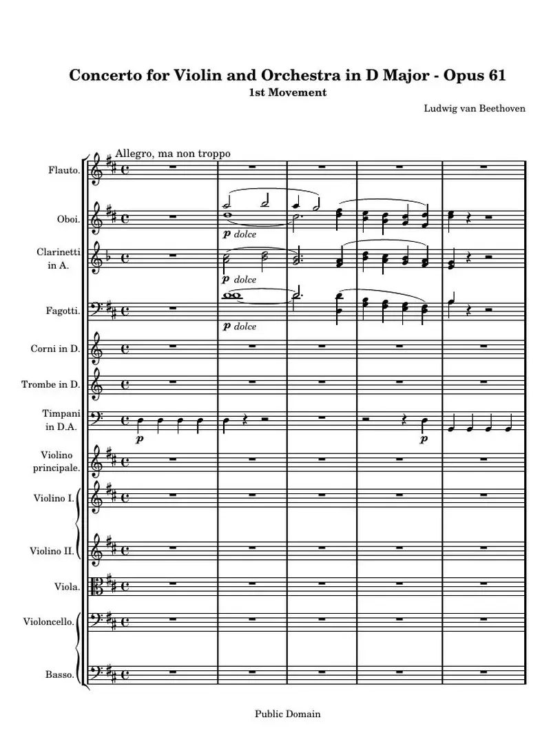 Первая страница нот «Концерт for Violin and Orchestra D мажор (1st Movement)»