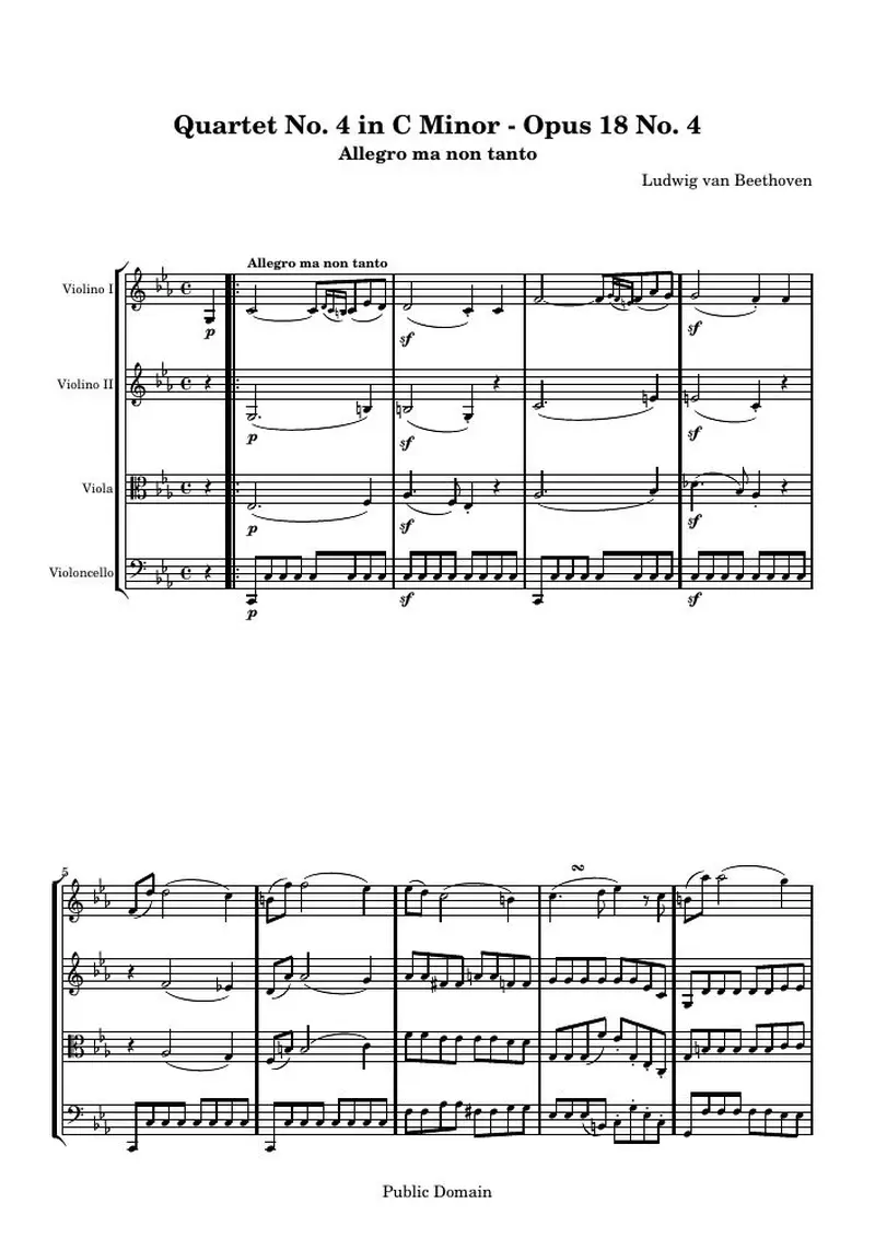 Первая страница нот «Квартет № 4 C минор: 1. Allegro ma non tanto»