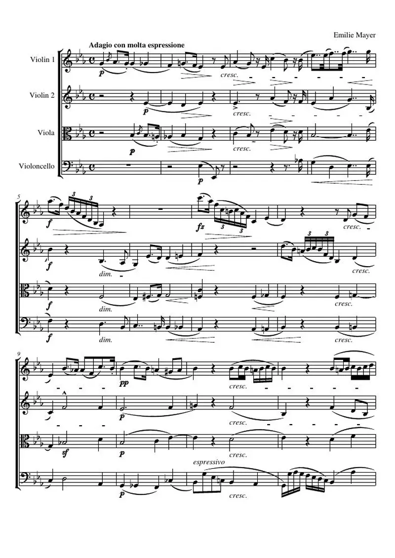 Первая страница нот «Струнный квартет G минор, соч.14: Adagio con molta espressione»