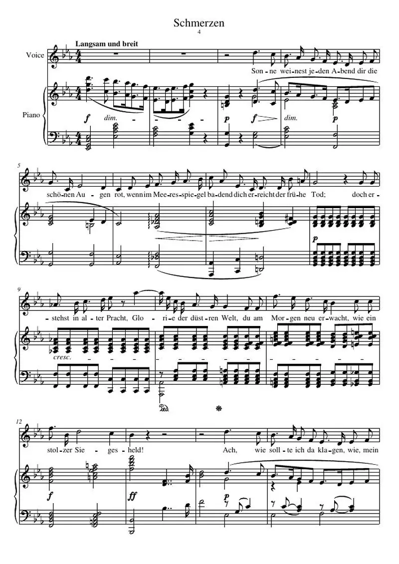 Первая страница нот «Schmerzen»